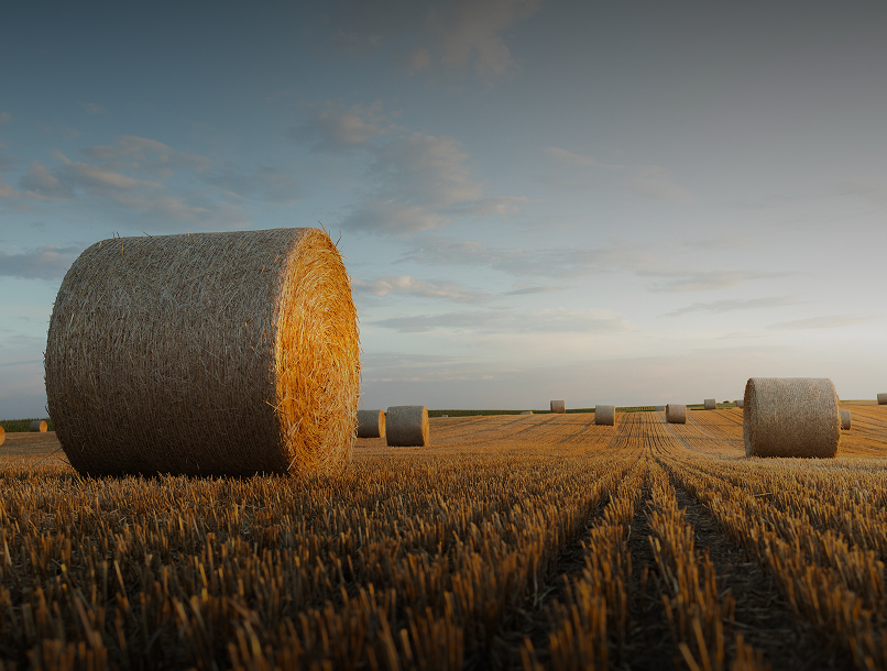 Hay image